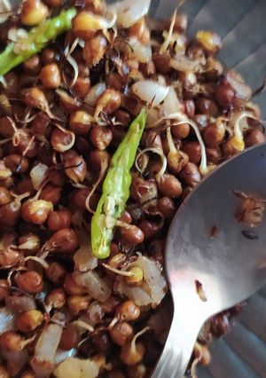 A picture of Budded Black Gram.