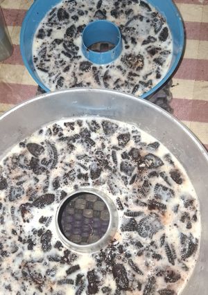 Foto resep Pudding Oreo Susu