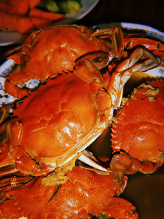 صورة لوصفة شوربة الكابوريا 🦀