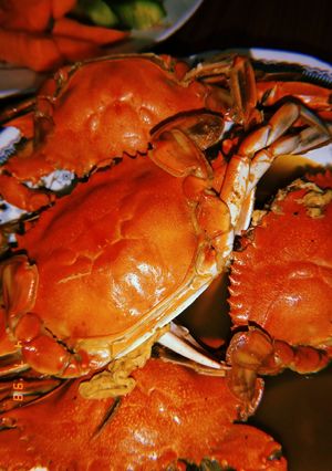 صورة لوصفة شوربة الكابوريا 🦀