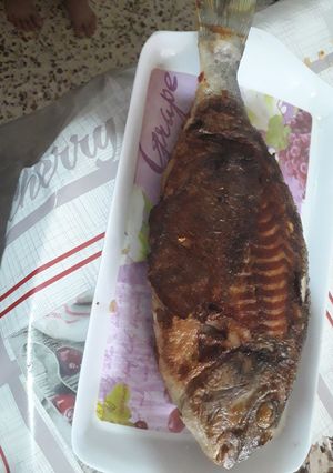 صورة لوصفة سمك الدوراد مقلي وبنييين