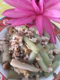 ผัดสายบัวเต้าหู้เจ