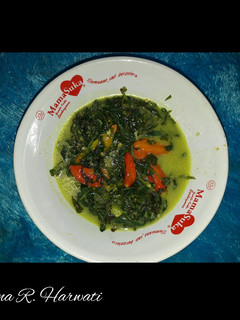 Foto resep Sayur santan pakis