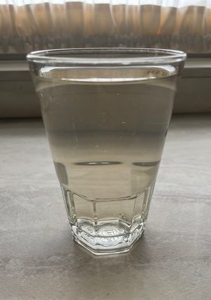 Csipkebogyó tea friss csipkebogyóból recept fotója