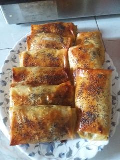 صورة لوصفة بريوات مالحين