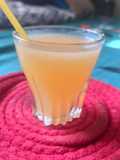 એપલ આમળા જ્યુસ (Apple Amla Juice Recipe In Gujarati)