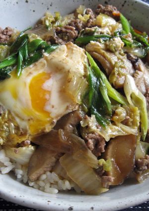 A picture of Sukiyaki Don.