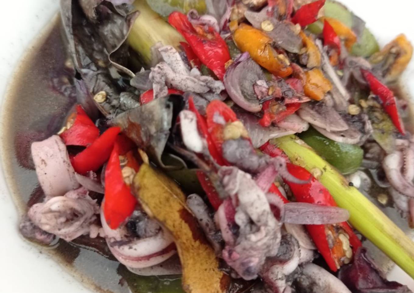 Sotong dengan dakwat hitam