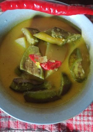 Foto resep Opor terong kentang
