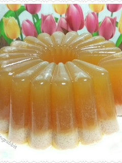 Foto resep 20. Puding Santan Gula Merah