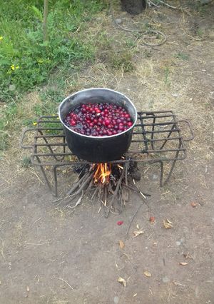 Una foto de Mermelada de ciruelas