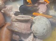 Una foto de asado de tira