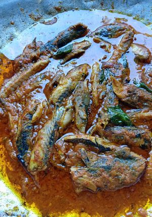 Foto resep Tongkol rebus tumis aceh