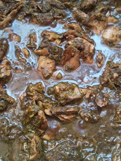 عکسی از دستور قلیه ماهی