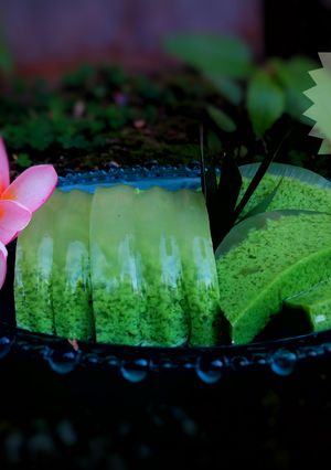 Foto resep Puding Lumut