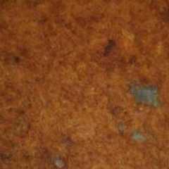 รูปของ Abon ayam