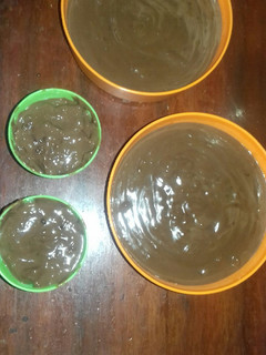 A picture of Pudding Chocolate.