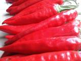 लाल सिल्ली पिकल (Red Cilli Pickle recipe in hindi)
