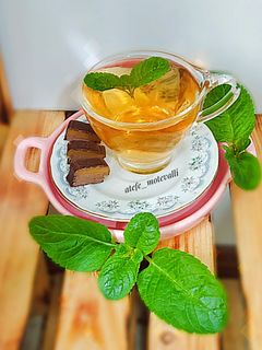 عکسی از دستور دمنوش پونه