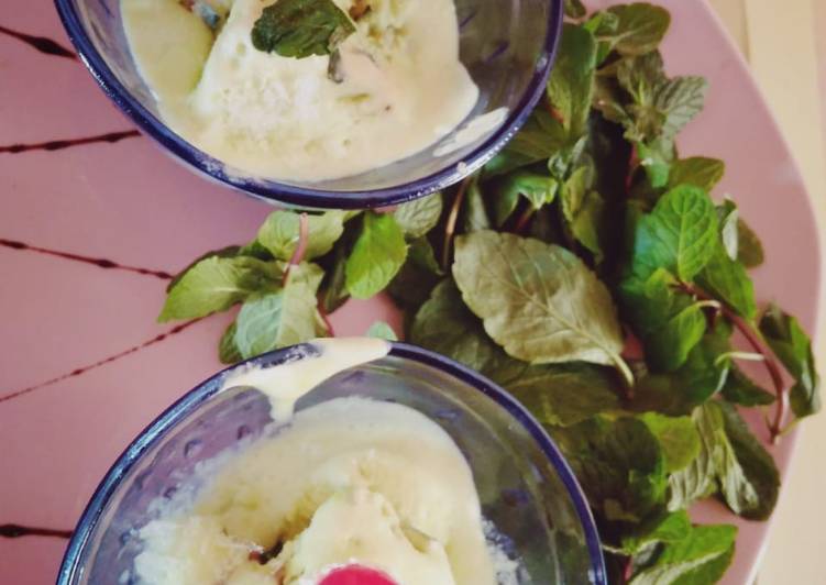 How to Prepare Quick Vanilla mint ice cream