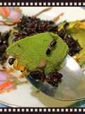 Mixed alpukat tape ketan pistachios with kental manis