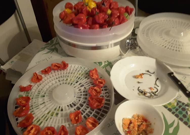 Step-by-Step Guide to Make Perfect Ma culture de piments habenero