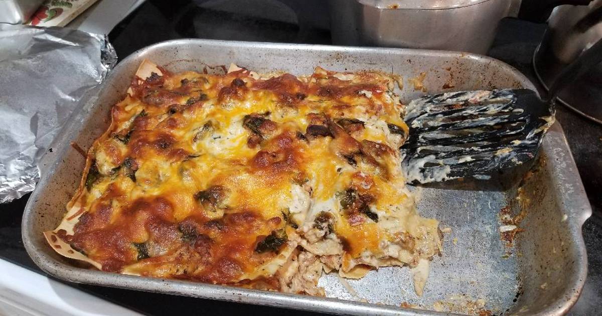 Chicken, spinach & mushroom Alfredo lasagna Recipe by Galen Pitters