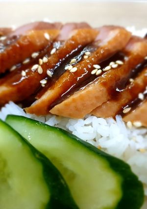 A picture of Smoke Duck Rice 烟熏鸭肉饭.