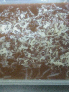 Foto resep Puding Roti Coklat keju