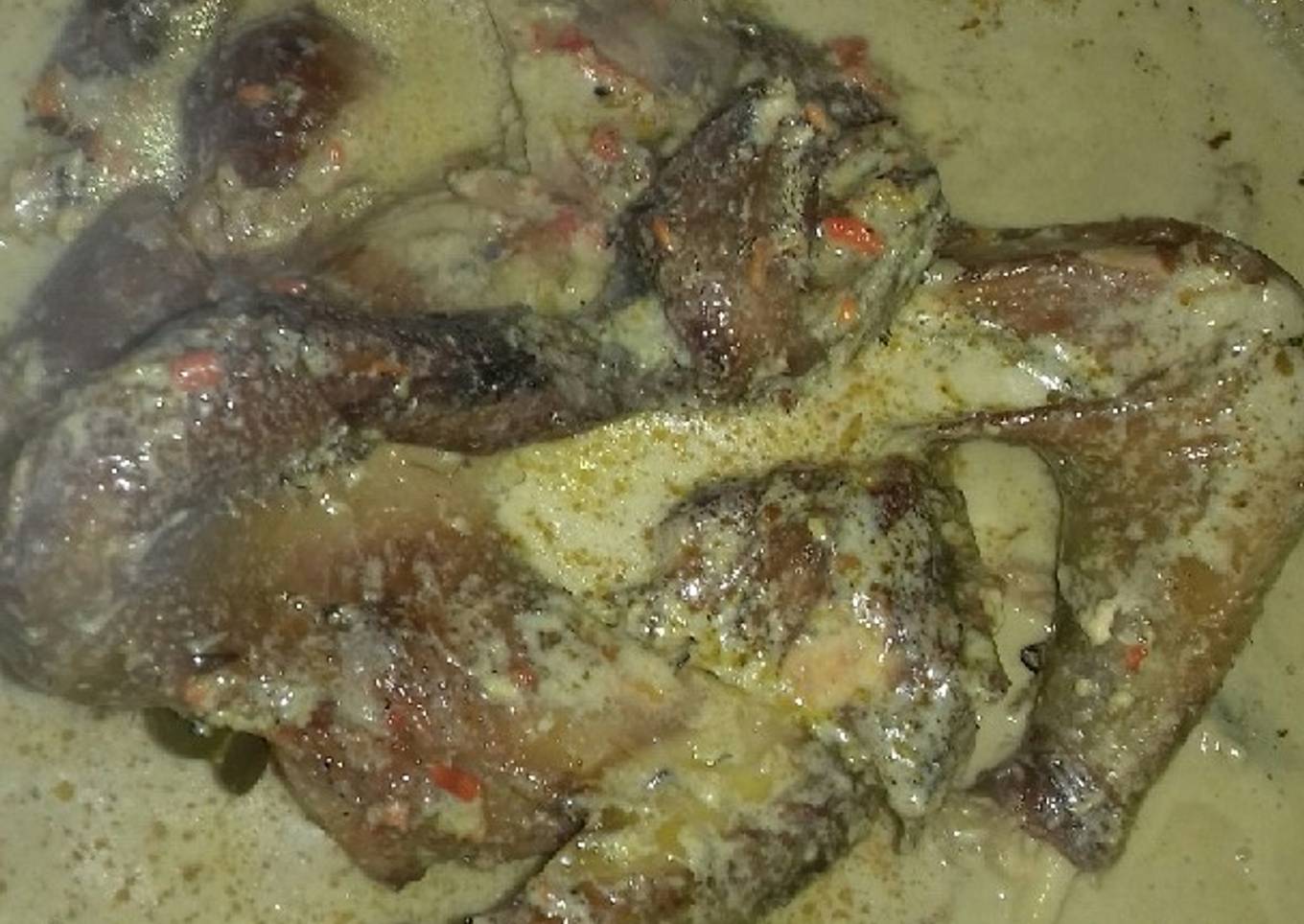 Ayam lodho khas tulungagung