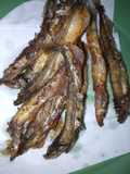 Ikan Shisamo goreng 🐠(ikan cipung)