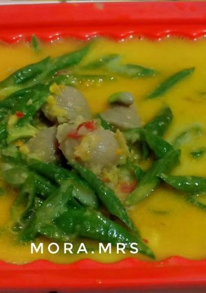 Foto resep Gulai Bakso + Kacang Panjang