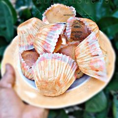 A picture of Cup cake.