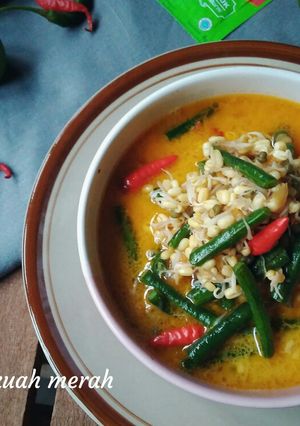 Foto resep Kecambah kuah merah
