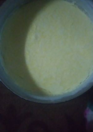 عکسی از دستور ماست خانگی