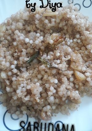 A picture of Sabudana.