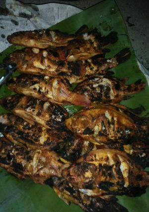 Foto resep Ikan Mas Bakar
