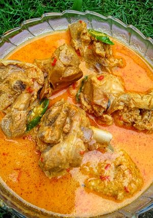 Foto resep Lhodo Ayam Kampung