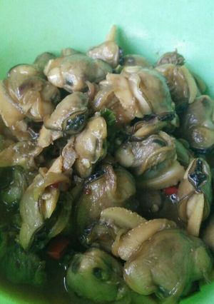 Foto resep Tumis Kerang Sederhana