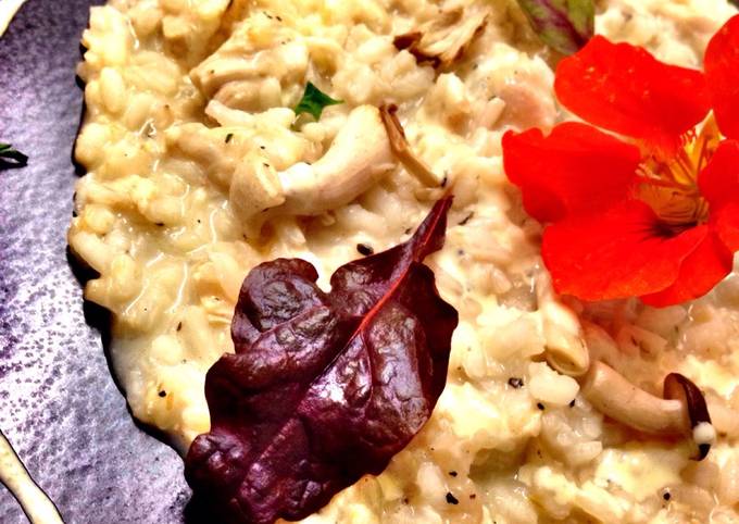 Modo semplice a Preparare Veloce Risotto con stracchino e misto funghì con coulis di parmigiano