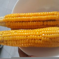 Boiled yellow corn A picture of Boiled yellow corn.