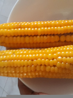 A picture of Boiled yellow corn.