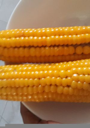 A picture of Boiled yellow corn.