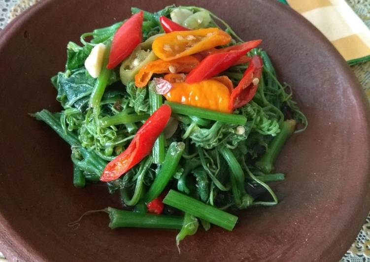 Resep Tumis Pucuk Waluh yang Enak Banget