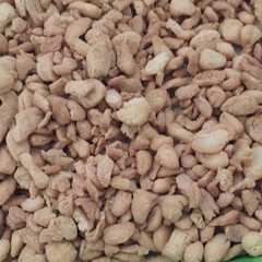 รูปของ Biji ketapang