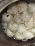 นำ้ส้มสายชูหมักลิ้นจี่ (Lychee vinegar)