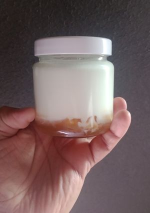Una foto de Yogurt casero en yogurtera