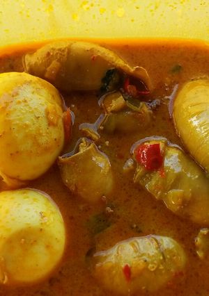 Foto resep Gule cumi isi tahu🐙