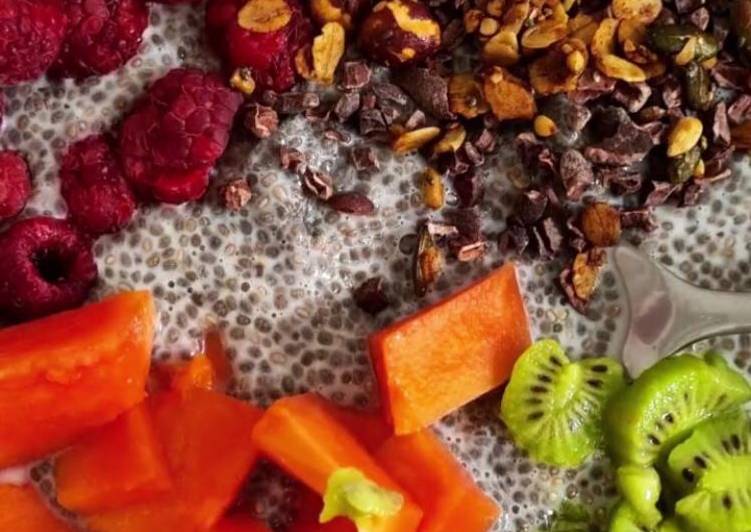 》 Pudim de Chia com Frutas - Gozhowgos