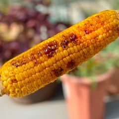 A picture of Japanese Grilled Corn.